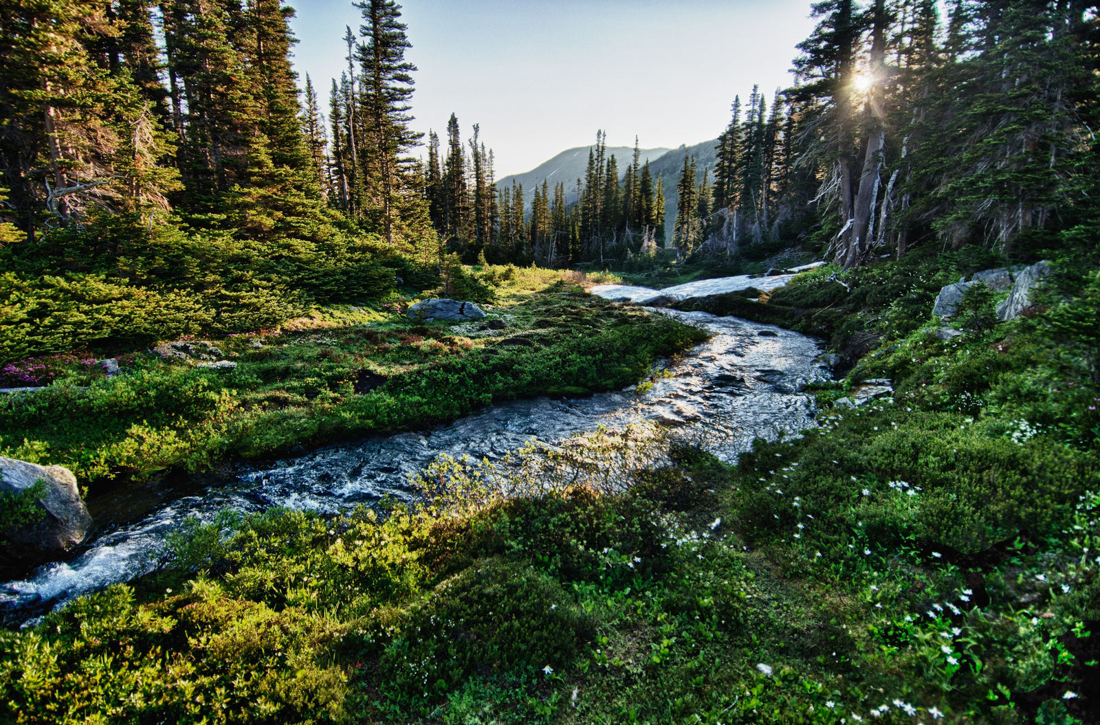 Road Trip to the West Coast: 3 Must-See Stops to Rediscover the West Coast