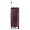 Large Expandable Spinner Plum CX Expansion - image42